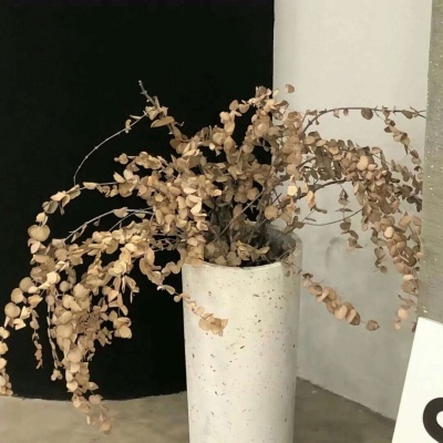 内丘福瑞交流群